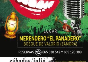 Cartel promocional de las noches temáticas se muestran dos bocas sonrientes y un microfono sobre una noche estrellada